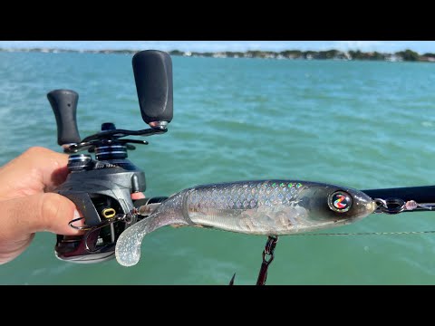 Whopper Plopper in Saltwater Catches a GIANT! 