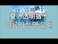 인생의 쉼표. Miolly-여름의 투명 유예(夏の透明猶予)