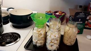 Water bath canning ( potatoes 🥔 @ Michelle's Garden.)