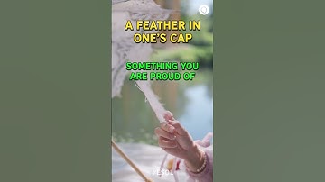 A feather in one’s cap