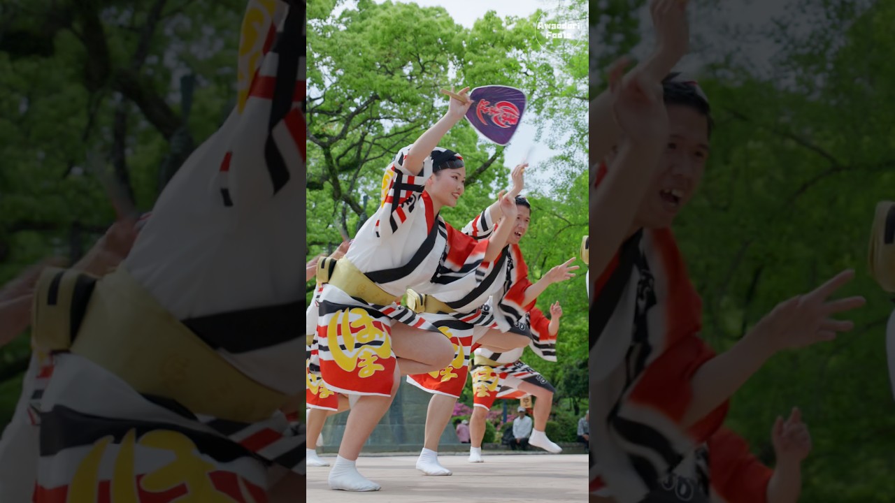【阿波踊り2026】ほんま連らしい勢いある男踊り
