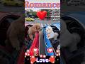 Romantic moments 🐶❤️#shorts #viral #funny #trending