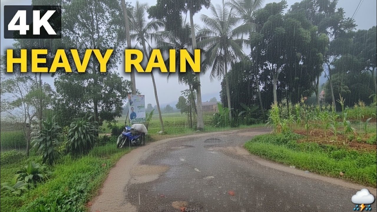 Walking in Heavy Rain - Peaceful Countryside Village Sounds
