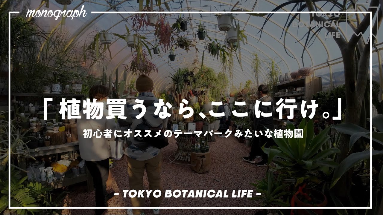 Recommended for beginners] I went to that 