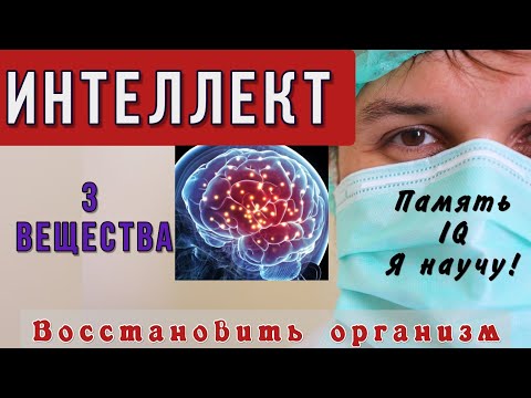 Главные витамины для мозга / 3 минерала для памяти, ума, интеллекта, IQ. Восстановление организма.✧