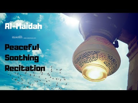 Quran beautiful recitation - Ameer Shamim [Surah Maidah - 30 Min Loop]