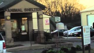 South Jersey Animal Shelter Controversy