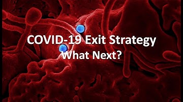 COVID-19 Exit Strategy  - What Next?
