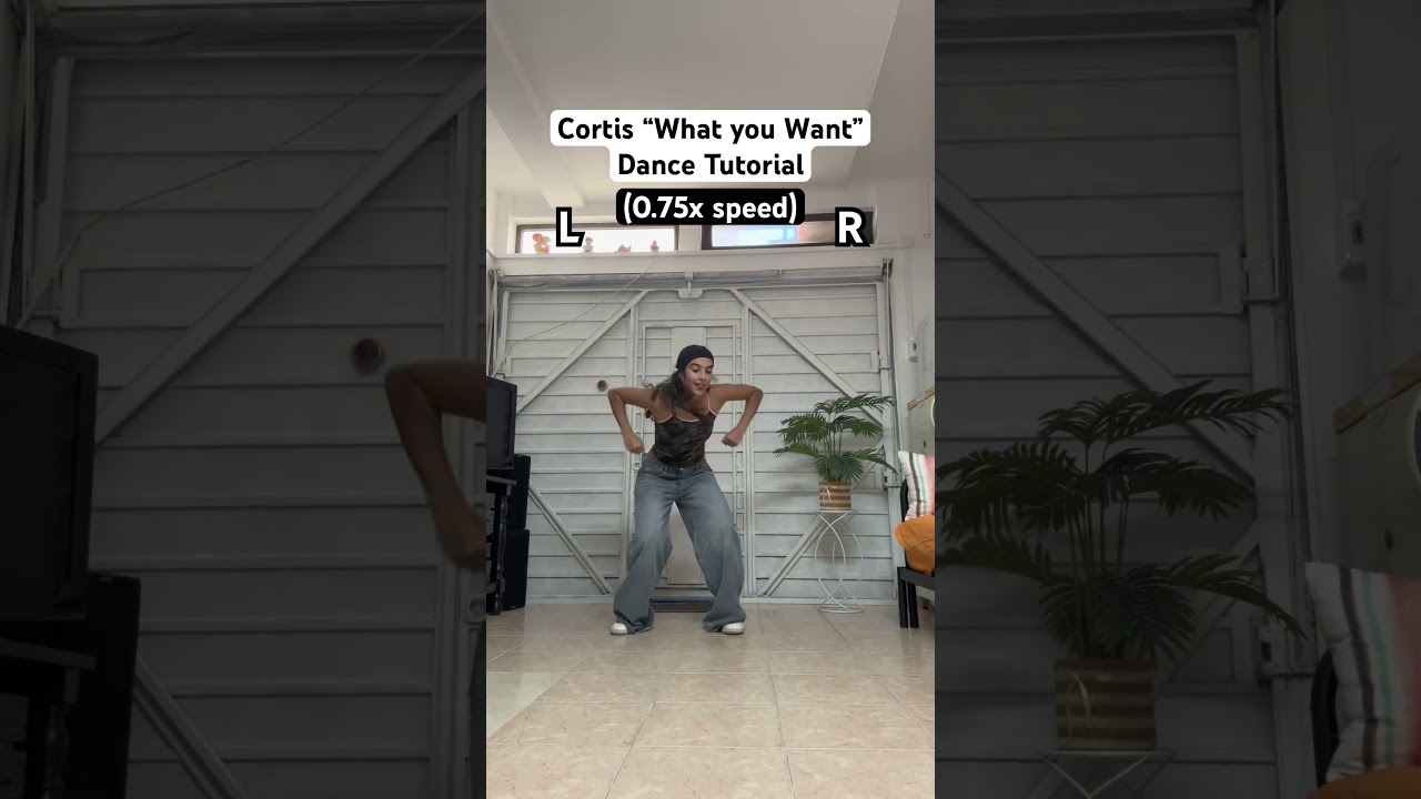 Cortis “What you Want” Dance Tutorial (slow music + mirrored) 