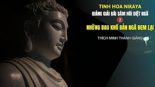 Tinh Hoa NIKAYA - Giảng Giải Bài Sám Hối Diệt Ngã 2 - Những Đau Khổ Bản Ngã Đem Lại