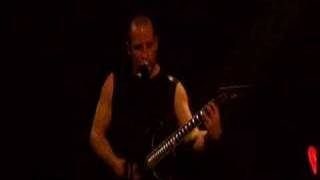 Dreamlost - Careless Politics