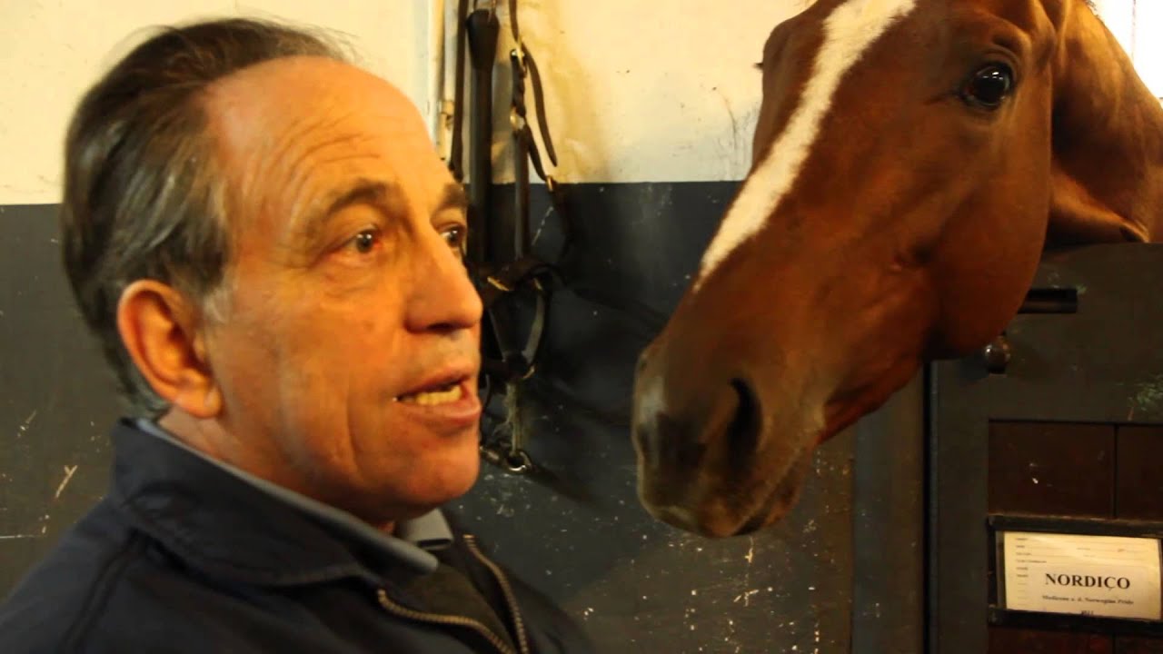 Sportwelt Galopp Sportwelt Galopp