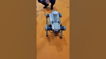 Robothond serveert koffie op de HL Homelife Expo 2025 – De toekomst is hier 🤖☕️