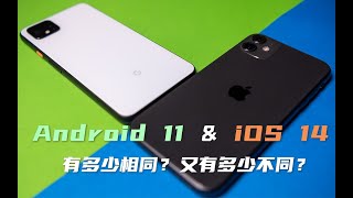 Android 11 对比 iOS 14，有什么相同？又有什么不同？