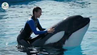 Fans Riding A Killer Whale Ride Like Free Willy Because Everyone Loves Free Willy