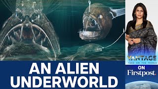 Deep Sea: Trove of Unknown Species, Nuclear Weapons, Minerals | Vantage with Palki Sharma