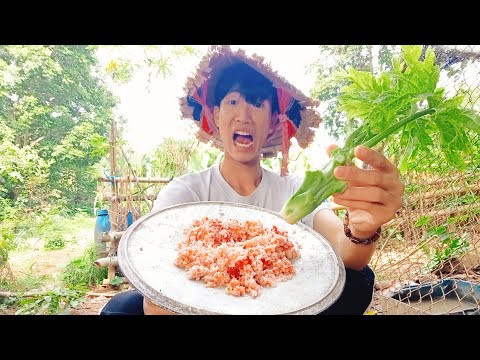Cây Đu Đủ Non - Thử Ăn Ngọn Đu Đủ Chấm Muối Ớt Siêu Cay Và Cái Kết | Papaya leaves dipped in chili salt