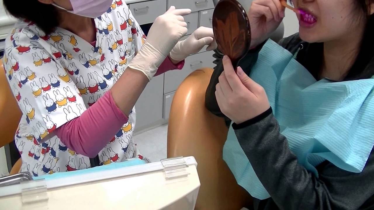 ブラッシング指導の流れ