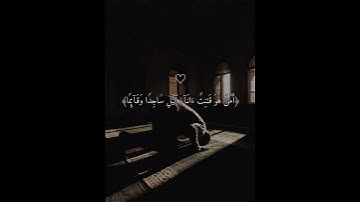 تلاوة رائعة من القارئ صالح الأنصاري🎧🤍 #قرآن #free_palestine #فلسطين_حرة #فلسطين #صالح_الانصاري