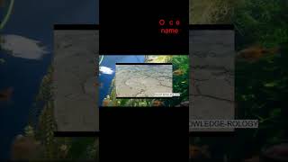 Sea Grass Ocean Plant Knowledge Is Power - Knowledge And Information