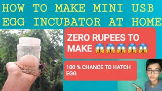 How To Make Incubator For Chicken Eggs | Egg Hatching Result 2020