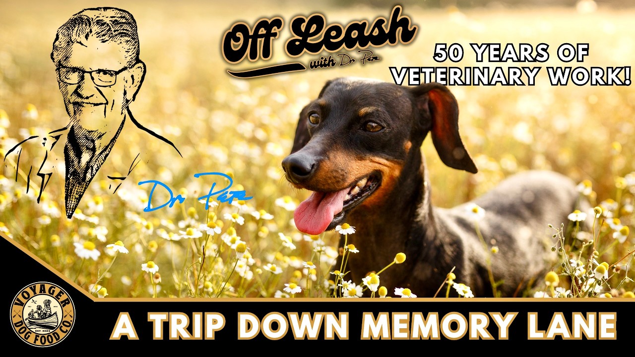 A Trip Down Memory Lane