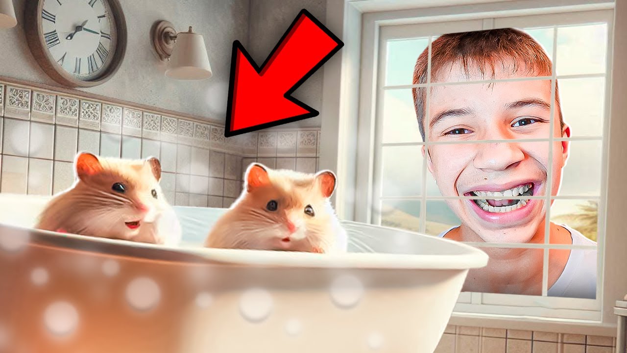 A NOVA Mansão das HAMSTERS *banheira de hidro?