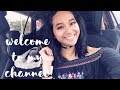  welcome to my channel 2018  simply rose lynne
