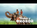 Побег с Фионой /Saving Flora/ 2018, семейное кино