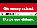 HUNGARIAN Conversation 2 ⭐ B1-B2 (Intermediate)