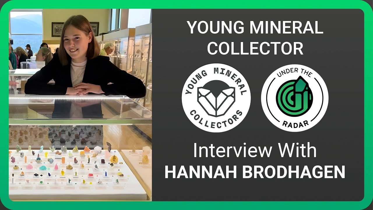 Незаметно для публики: Ханна Бродхаген, молодой коллекционер минералов (лауреат премии).
