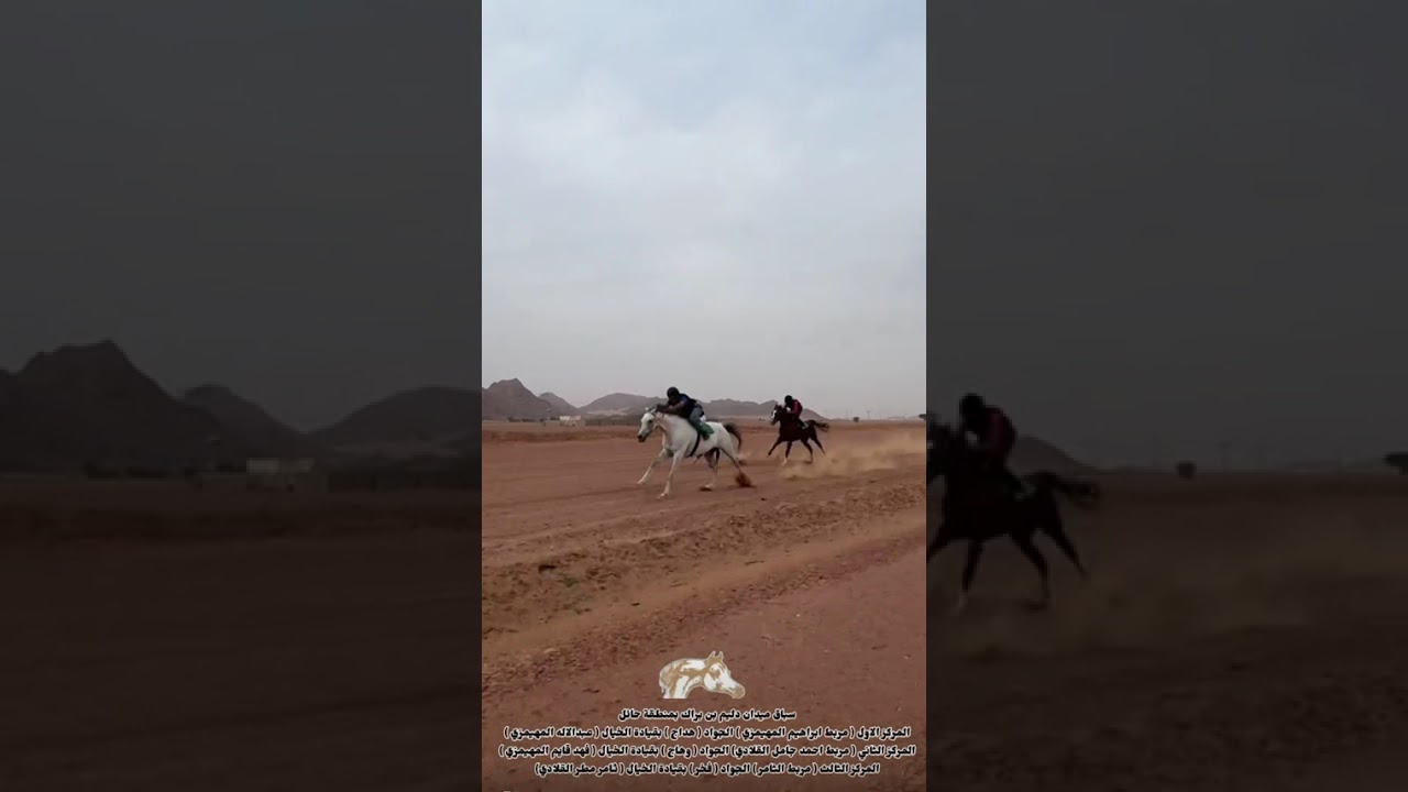 #مربط_دليم_ابن_براك #سباق_ميدان_مربط_دليم_ابن_براك_بمنطة_حائل #شوط_الخيل_الشعبي #حائل #خيل
