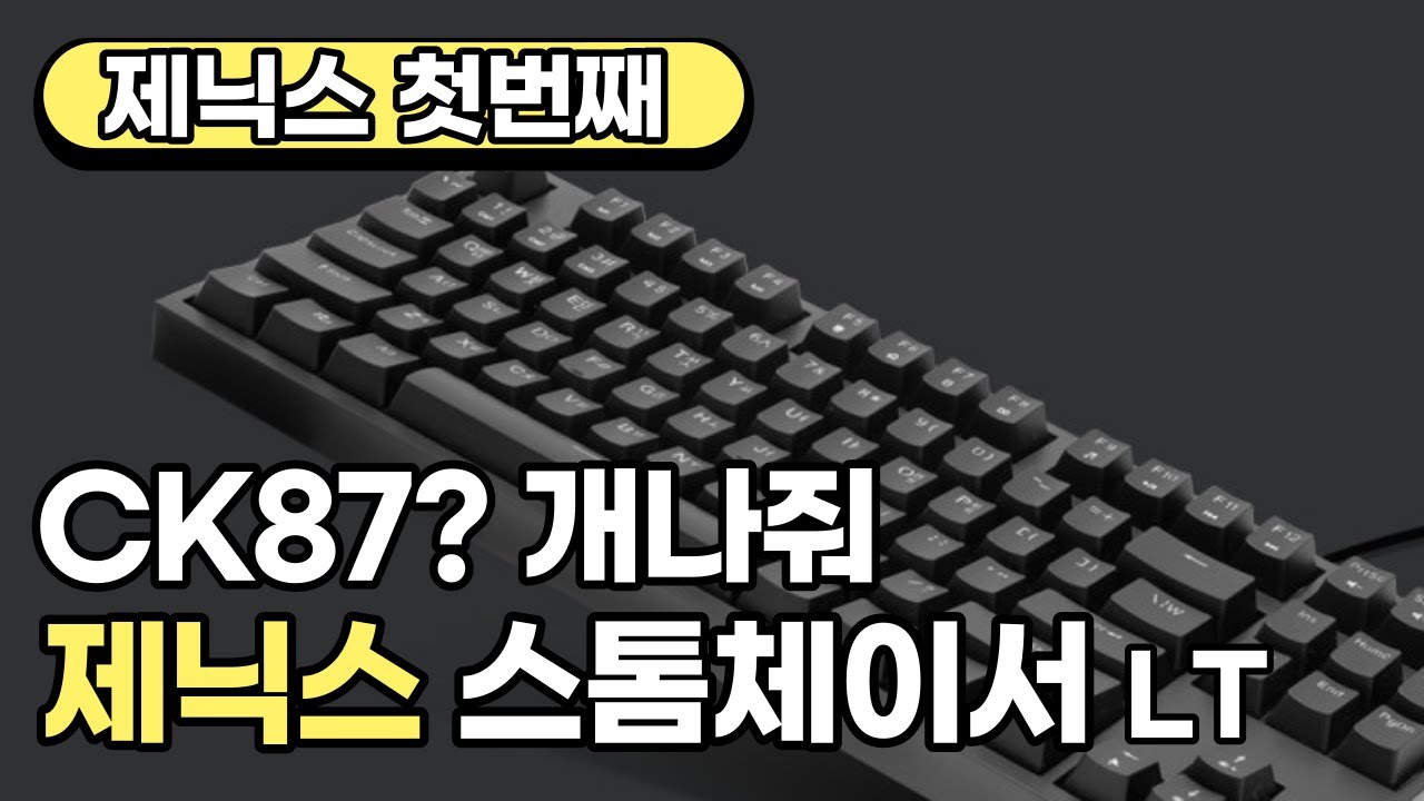 새로운 킹성비 게이밍 키보드 추천! 제닉스 스톰체이서 LT 텐키리스 기계식 키보드 개봉 타건 후기 콕스 CK87? 개나줘