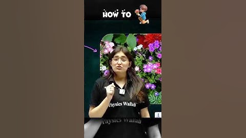 How to propose a girl ft Aarushi mam ❤️ #pw #alakhpandey #jee #neet