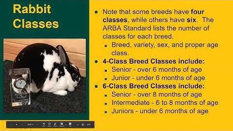 ND 4-H Rabbit Showmanship – Virtual Clinic – May 25, 2020