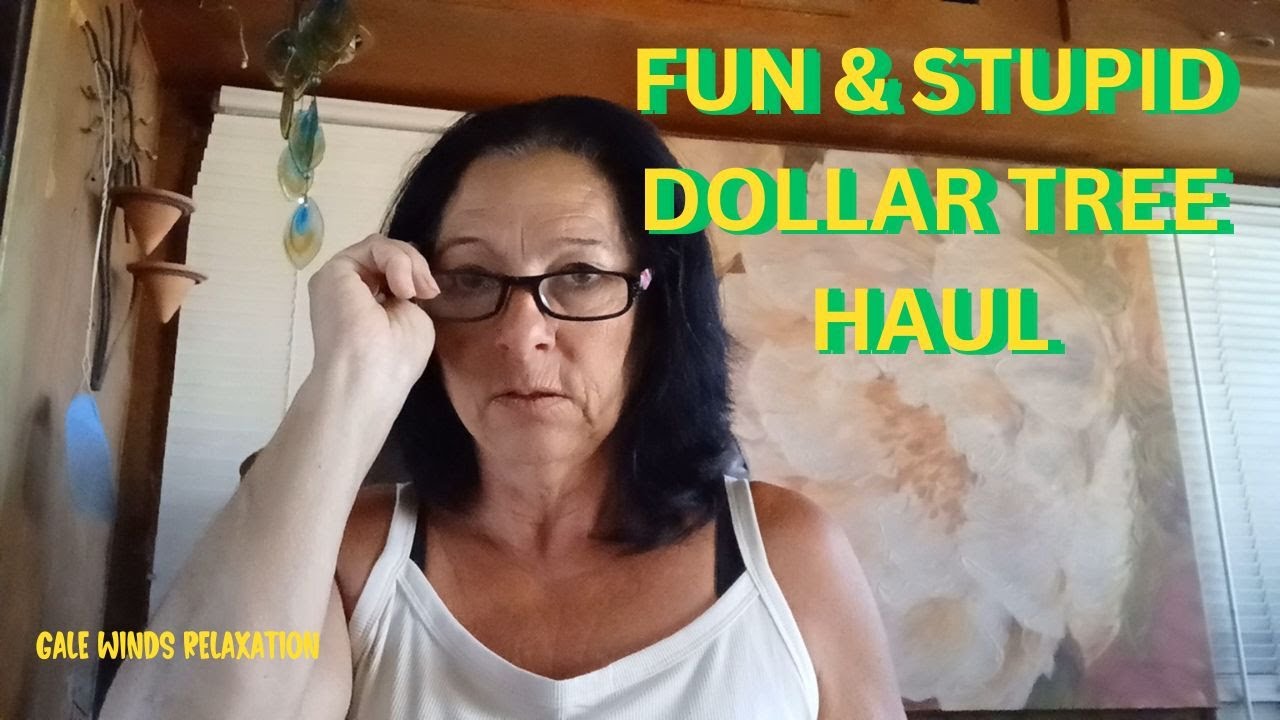 DollarTree2 FUN AND STUPID DOLLAR TREE HAUL Gift Ideas Stupid dollartree2-fun-and-stupid-dollar-tree-haul-gift-ideas-stupid
