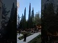25 мая 2026 г.