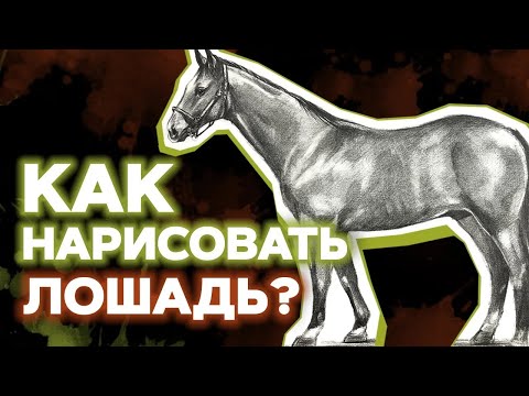 🐎Сможешь нарисовать КОНЯ? | Как нарисовать лошадь карандашом? | Урок рисования