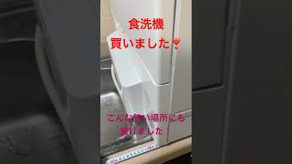 #タンク式食器洗浄器導入panasonic NP-TSP1-W #家電動画 #検討用動画 #パナソニック
