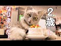 ミクちゃん2歳のお誕生日