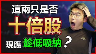 十倍股分析｜這兩只股票是否十倍股？現應趁低吸納？美股買哪只｜FUTU vs UNITY vs NVDA｜2022股票投資｜股票分析｜富人思維｜財商教育｜Chief Papa 張志雲