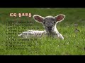 10 Korean Children S Nursery Rhymes 