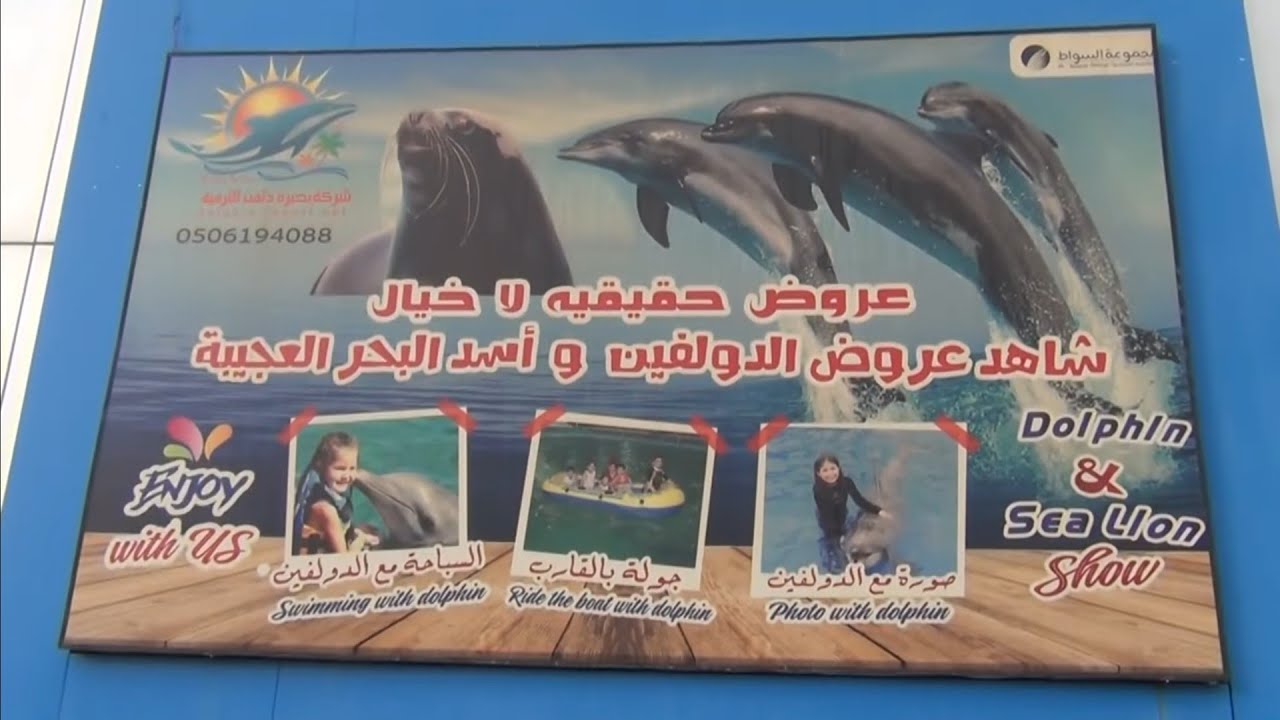 حديقة الحيونات بمحافظة الطائف لعام 1447 هجرية 2025 م ..ج2.. تصوير وتعليق الأستاذ خالد بن يحيى لال 