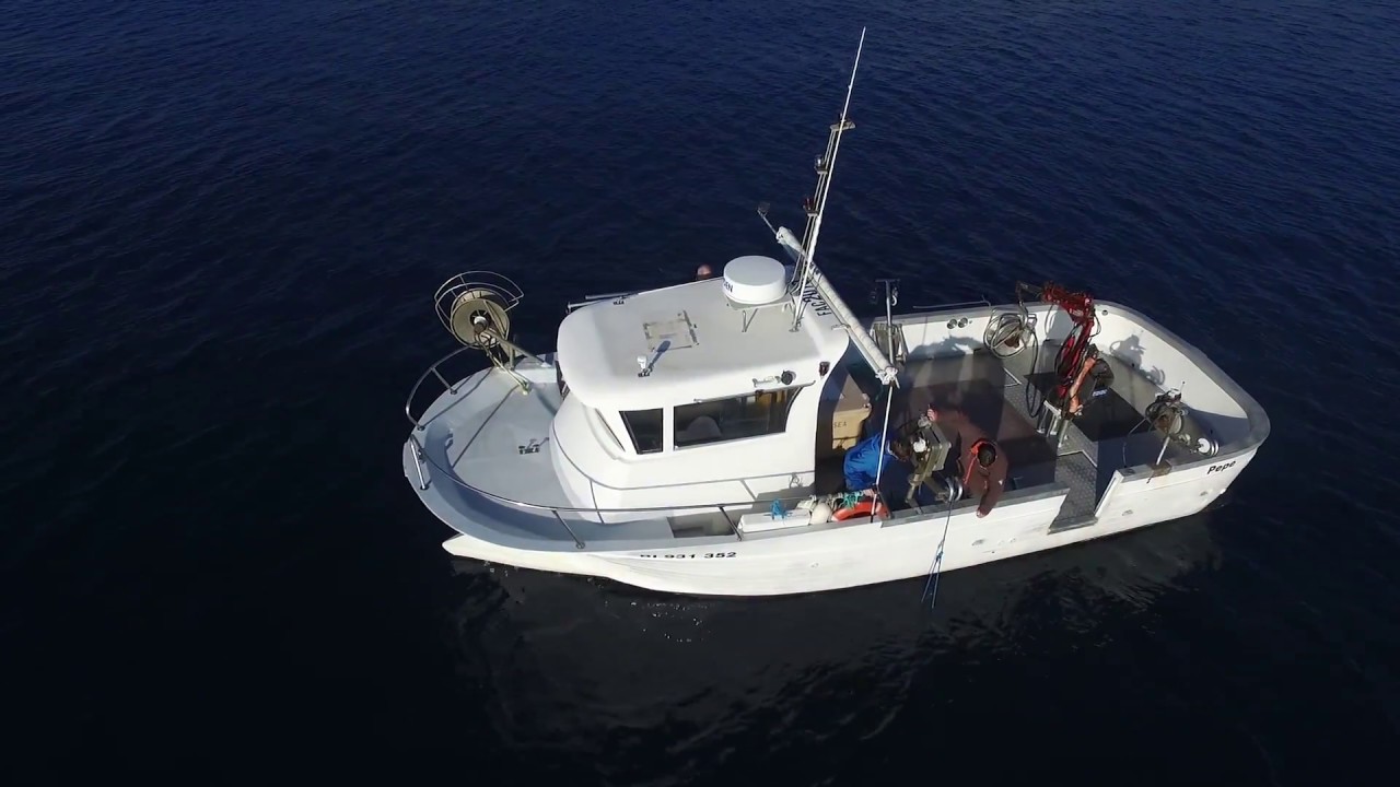 Pêche du Homard devant Bastia - PECHE CORSE - Février 2017