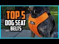 ✅Top 5 Best Dog Seat Belts in 2025