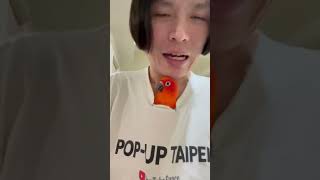 可愛又搗蛋的樂比🦜