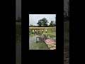 "W stronę Słońca" Klub Perun Luboń. Zawody „ V Steel Edycja 3 - Everglades” #sportshooting #gunfun
