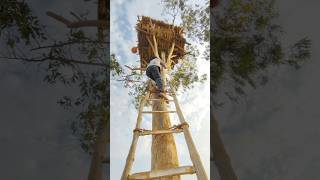 Tree House Clean Kiya 💪 Jungle | #minivlog #dailyvlog #minivlogshorts