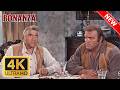 Bonanza - ALL EPİSODES 🔥 Watch Season Episode 351 🔥Western Series - The Best Cowboy TV #bonanza