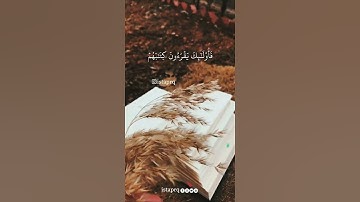 يوم ندعوا كل أناس بإمامهم فمن إنتي كتابه بيمينه فإولائك يقرءون كتابهم ولايظلمون فتيلا (سورة الإسراء)